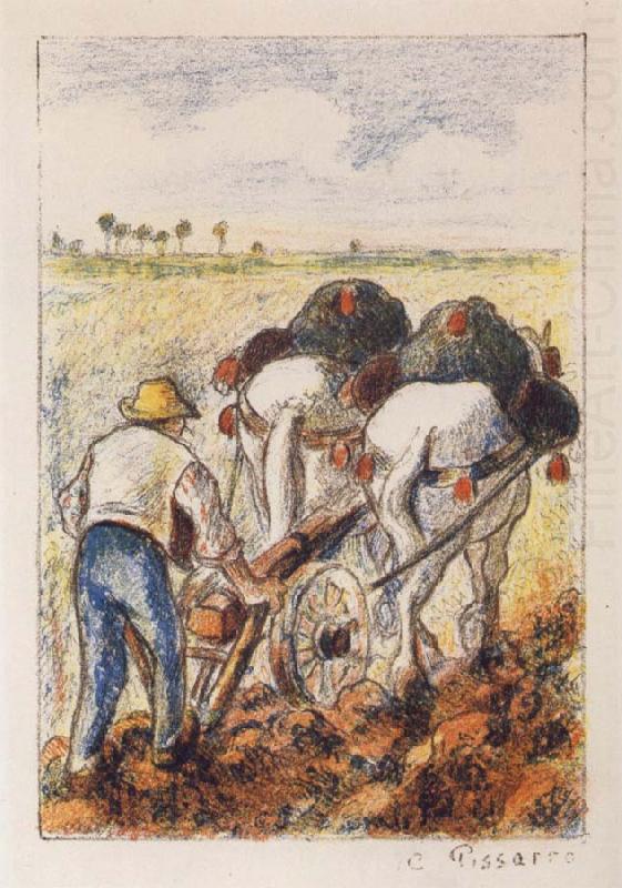 Camille Pissarro The ploughman china oil painting image